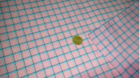 Plana Popelín Cuadros Plana Popelín Cuadros